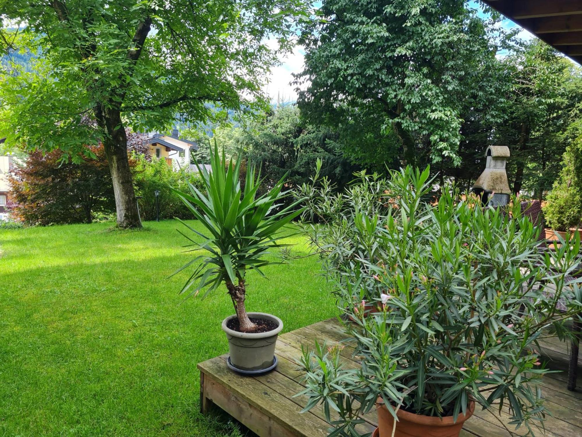 Apartment Landhaus Antonia *